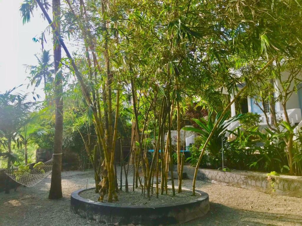 Petit Ana Beach Retreat Варкала Екстериор снимка